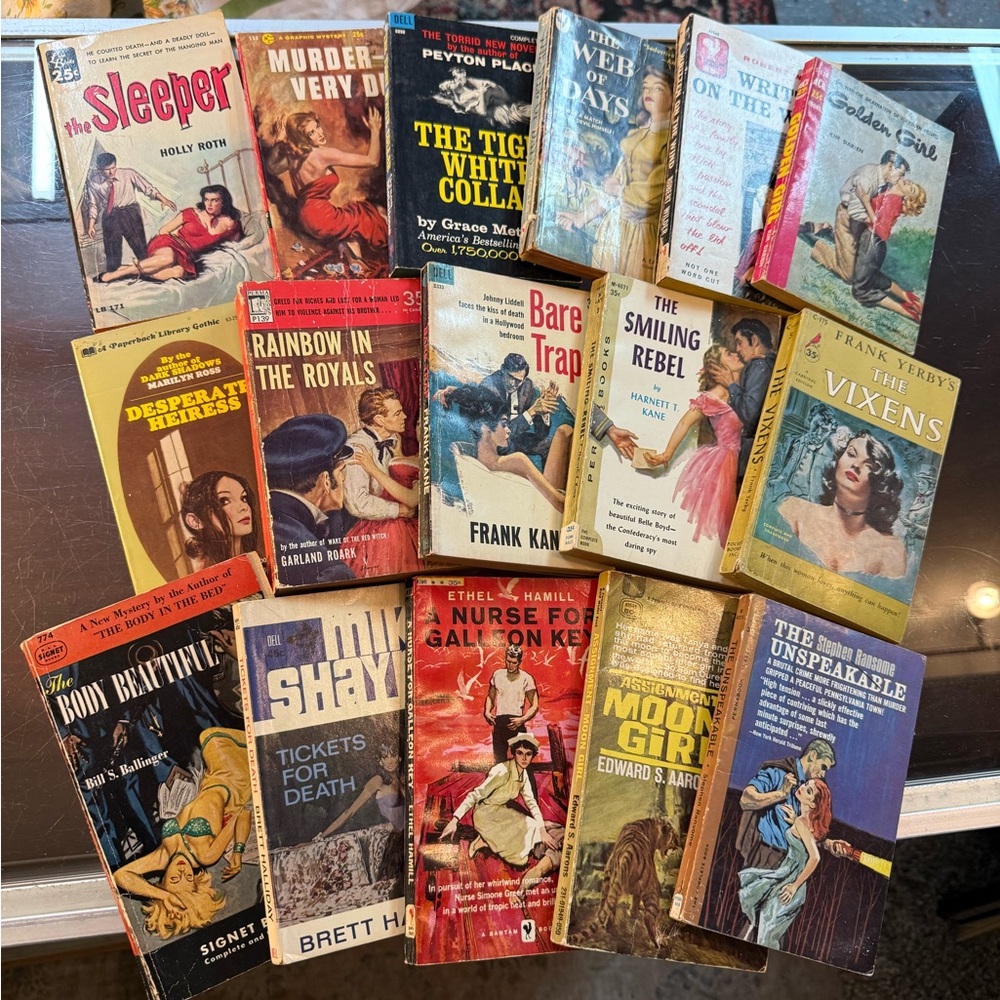 Vintage Steamy Novel Bundle
